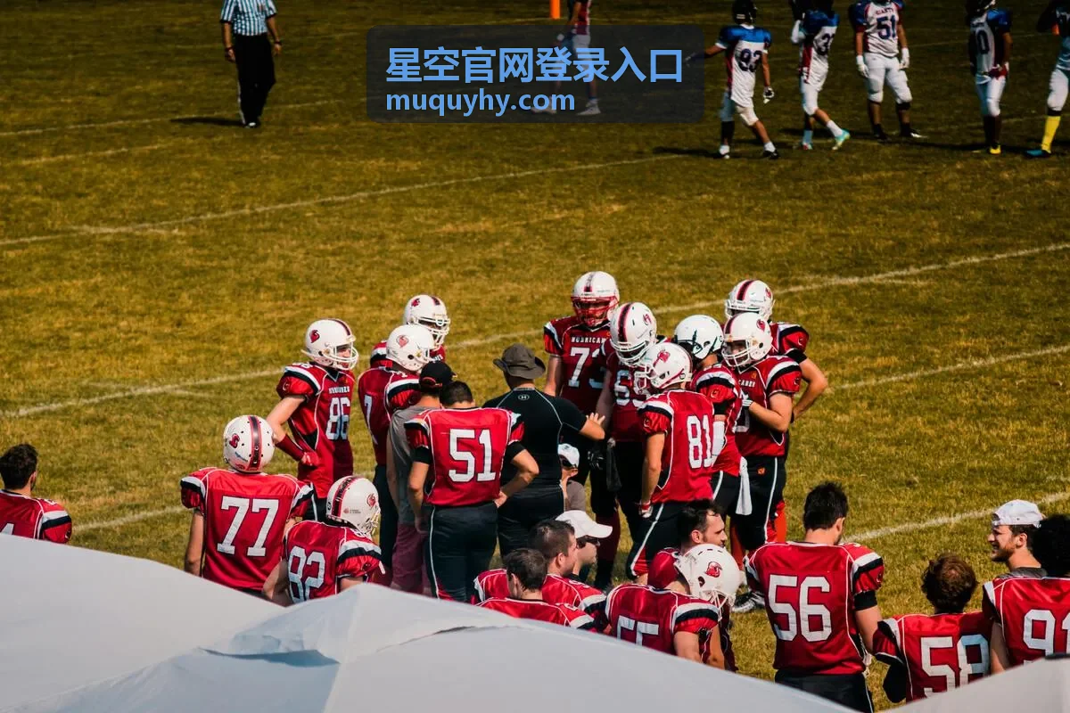 星空官网登录入口的登录页面示意