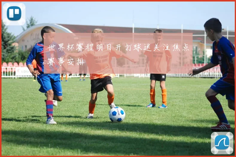 世界杯赛程明日开打球迷关注焦点赛事安排
