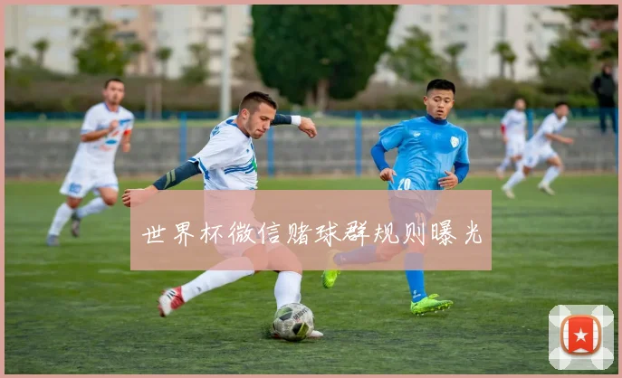 世界杯微信赌球群规则曝光