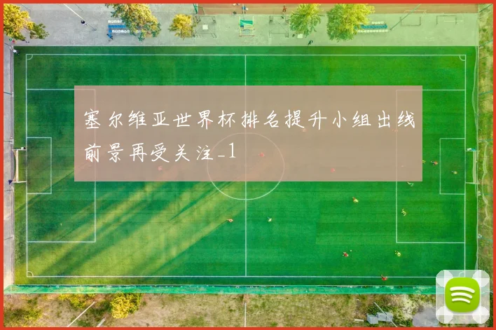 塞尔维亚世界杯排名提升小组出线前景再受关注_1