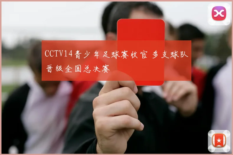 CCTV14青少年足球赛收官 多支球队晋级全国总决赛