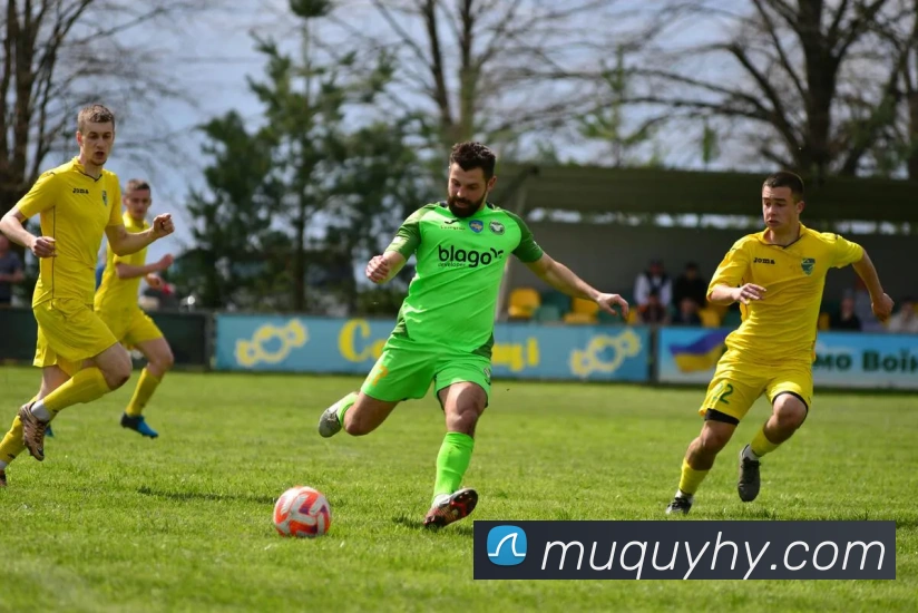 多媒体互动体验